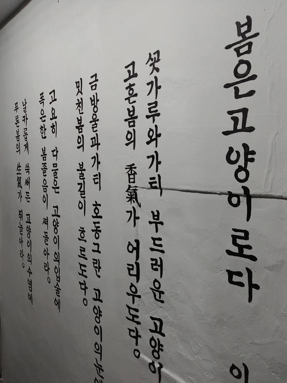 봄고로 게스트하우스 대구광역시 외부 사진